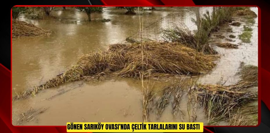 Gönen Sarıköy Ovası’nda çeltik tarlalarını su bastı  