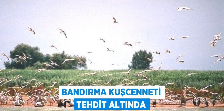 BANDIRMA KUŞCENNETİ TEHDİT ALTINDA