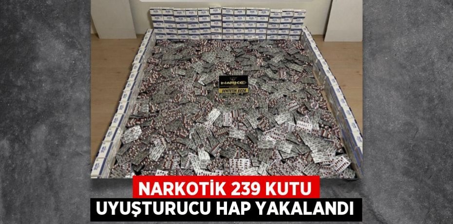 NARKOTİK 239 KUTU UYUŞTURUCU HAP YAKALANDI