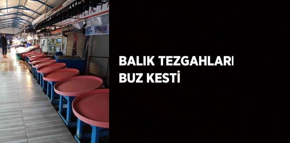 BALIK TEZGAHLARI BUZ KESTİ