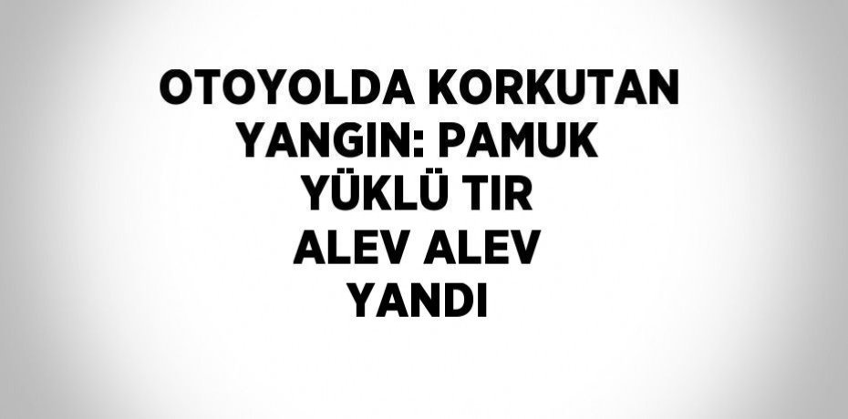 OTOYOLDA KORKUTAN YANGIN: PAMUK YÜKLÜ TIR ALEV ALEV YANDI