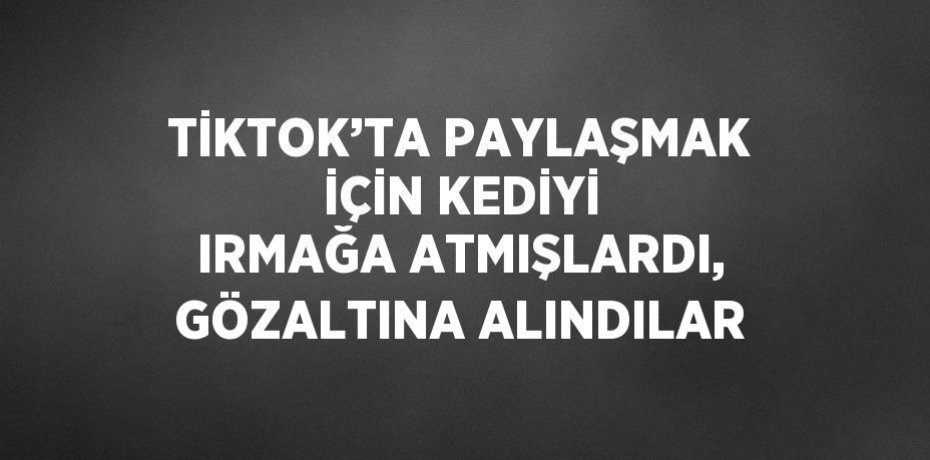 TİKTOK’TA PAYLAŞMAK İÇİN KEDİYİ IRMAĞA ATMIŞLARDI, GÖZALTINA ALINDILAR