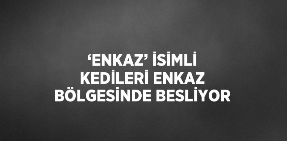 ‘ENKAZ’ İSİMLİ KEDİLERİ ENKAZ BÖLGESİNDE BESLİYOR