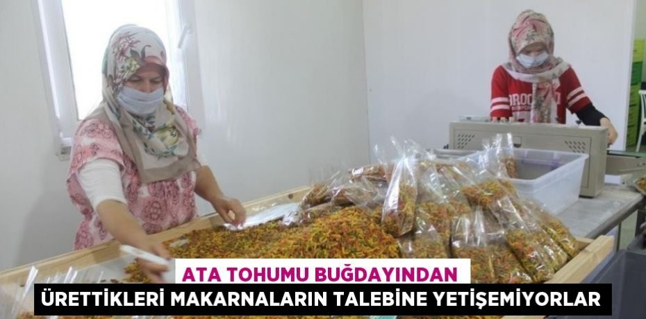 ATA TOHUMU BUĞDAYINDAN ÜRETTİKLERİ MAKARNALARIN TALEBİNE YETİŞEMİYORLAR