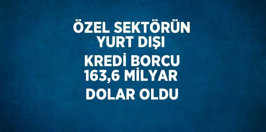ÖZEL SEKTÖRÜN YURT DIŞI KREDİ BORCU 163,6 MİLYAR DOLAR OLDU