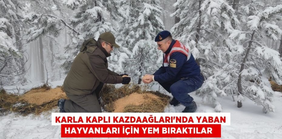 Karla kaplı Kazdaağları'nda yaban hayvanları için yem bıraktılar  