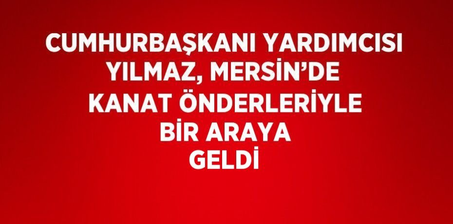CUMHURBAŞKANI YARDIMCISI YILMAZ, MERSİN’DE KANAT ÖNDERLERİYLE BİR ARAYA GELDİ