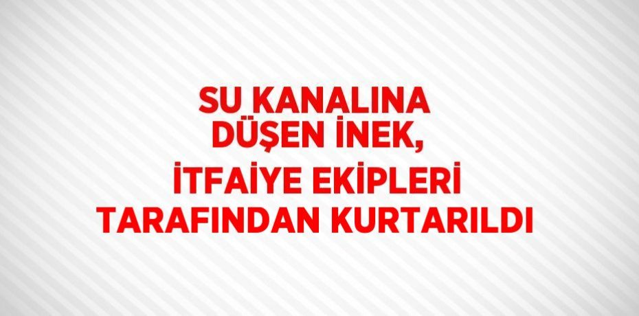 SU KANALINA DÜŞEN İNEK, İTFAİYE EKİPLERİ TARAFINDAN KURTARILDI