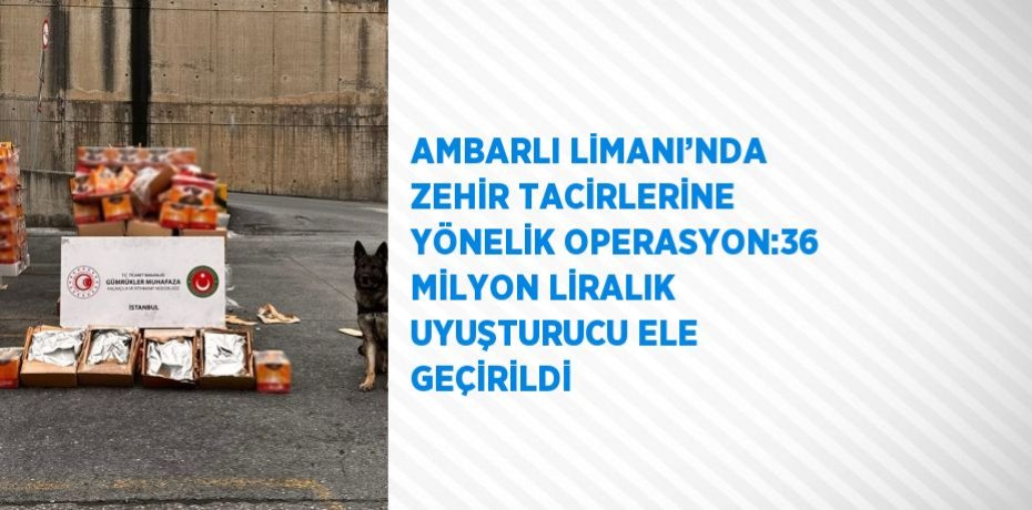 AMBARLI LİMANI’NDA ZEHİR TACİRLERİNE YÖNELİK OPERASYON:36 MİLYON LİRALIK UYUŞTURUCU ELE GEÇİRİLDİ