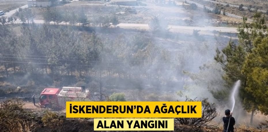 İSKENDERUN’DA AĞAÇLIK ALAN YANGINI
