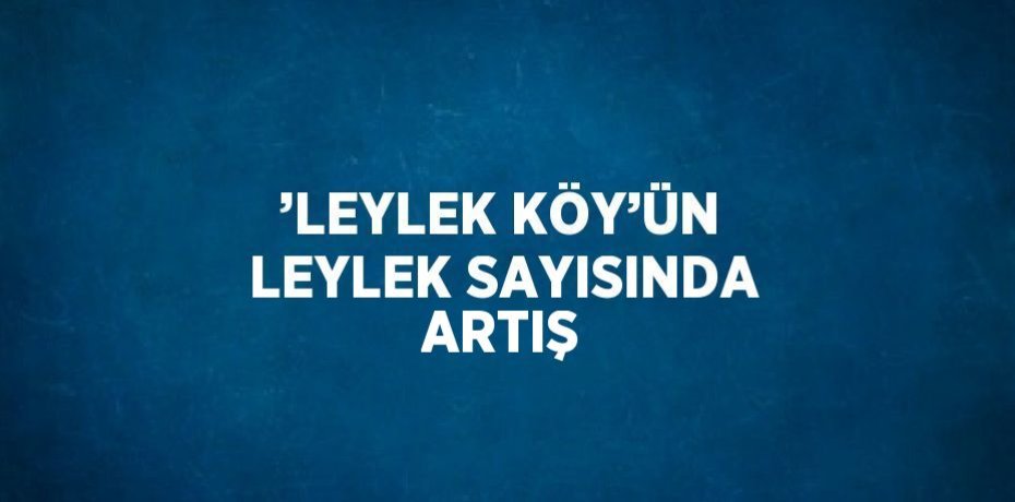 ’LEYLEK KÖY’ÜN LEYLEK SAYISINDA ARTIŞ
