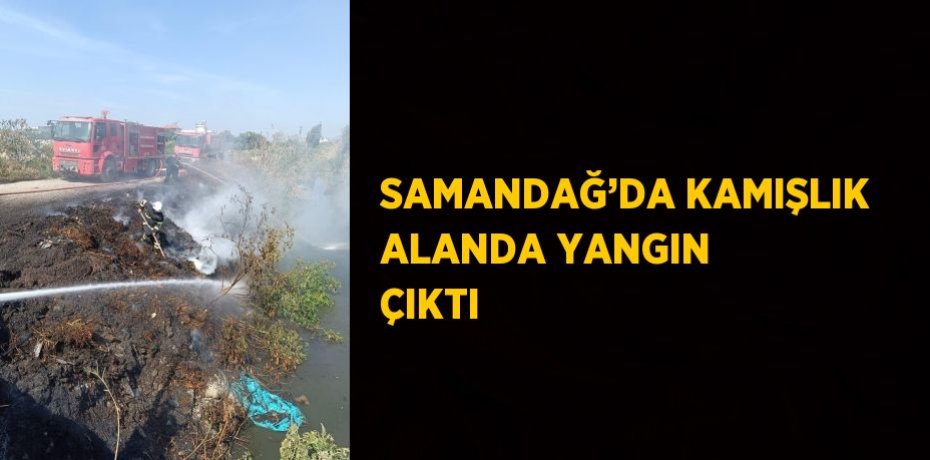 SAMANDAĞ’DA KAMIŞLIK ALANDA YANGIN ÇIKTI