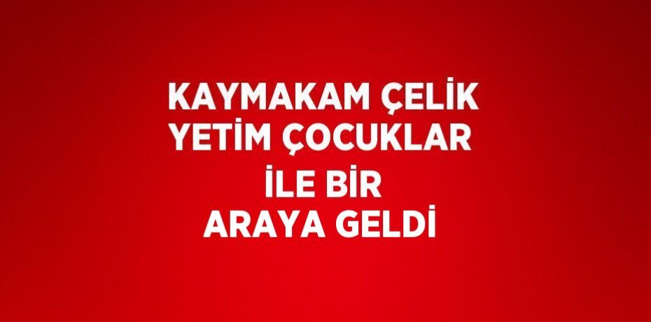 KAYMAKAM ÇELİK YETİM ÇOCUKLAR İLE BİR ARAYA GELDİ
