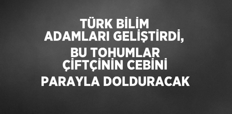 TÜRK BİLİM ADAMLARI GELİŞTİRDİ, BU TOHUMLAR ÇİFTÇİNİN CEBİNİ PARAYLA DOLDURACAK