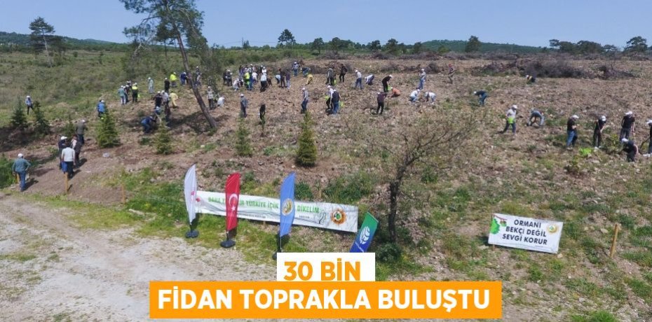 30 bin fidan toprakla buluştu