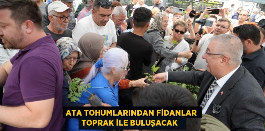Ata tohumlarından fidanlar toprak ile buluşacak  