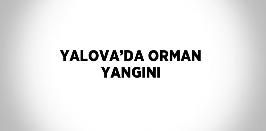 YALOVA’DA ORMAN YANGINI