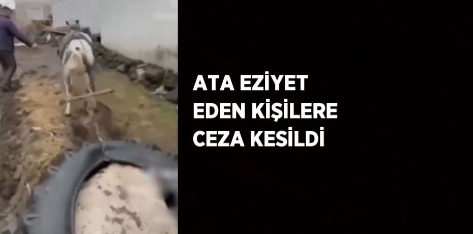 ATA EZİYET EDEN KİŞİLERE CEZA KESİLDİ