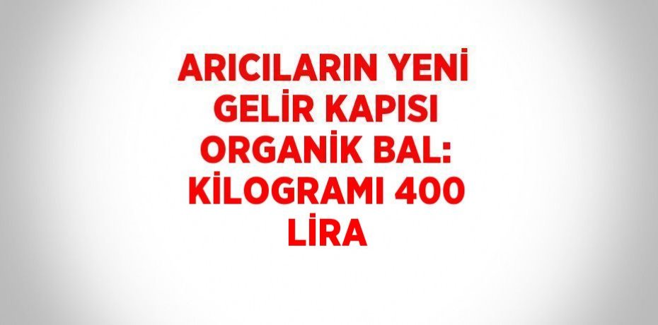 ARICILARIN YENİ GELİR KAPISI ORGANİK BAL: KİLOGRAMI 400 LİRA