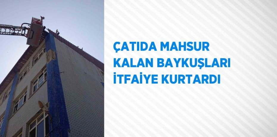 ÇATIDA MAHSUR KALAN BAYKUŞLARI İTFAİYE KURTARDI