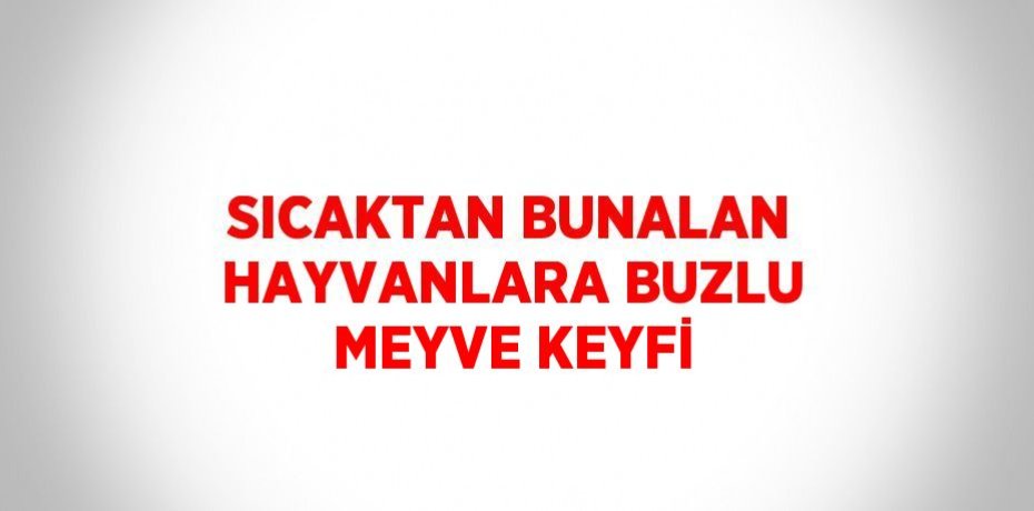 SICAKTAN BUNALAN HAYVANLARA BUZLU MEYVE KEYFİ