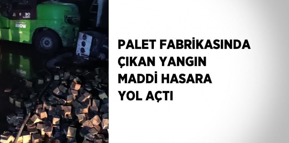PALET FABRİKASINDA ÇIKAN YANGIN MADDİ HASARA YOL AÇTI