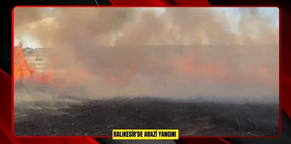 Balıkesir'de arazi yangını 