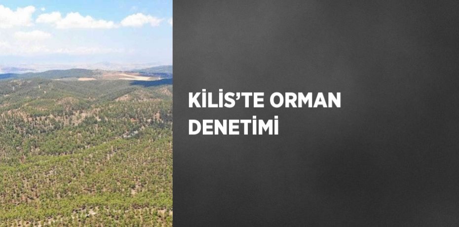 KİLİS’TE ORMAN DENETİMİ
