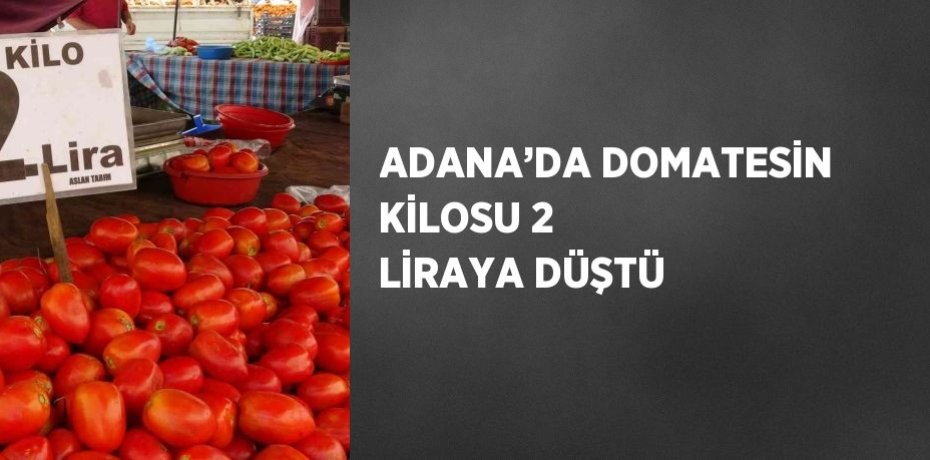 ADANA’DA DOMATESİN KİLOSU 2 LİRAYA DÜŞTÜ