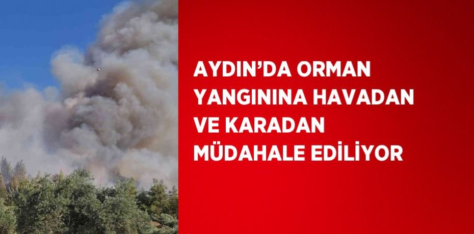 AYDIN’DA ORMAN YANGININA HAVADAN VE KARADAN MÜDAHALE EDİLİYOR