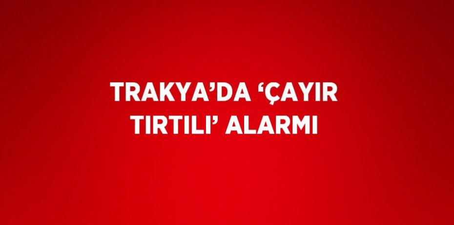 TRAKYA’DA ‘ÇAYIR TIRTILI’ ALARMI