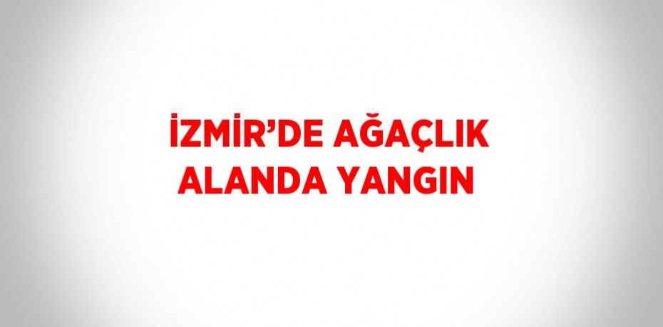 İZMİR’DE AĞAÇLIK ALANDA YANGIN
