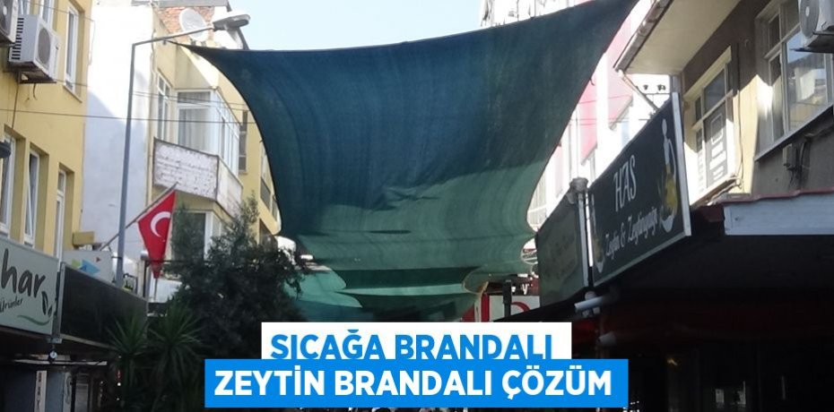 SICAĞA BRANDALI ZEYTİN BRANDALI ÇÖZÜM