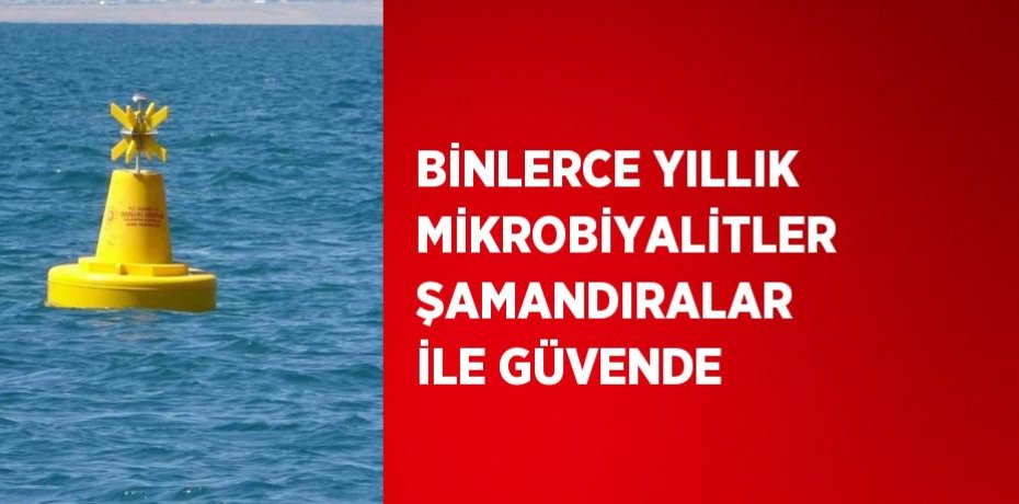 BİNLERCE YILLIK MİKROBİYALİTLER ŞAMANDIRALAR İLE GÜVENDE