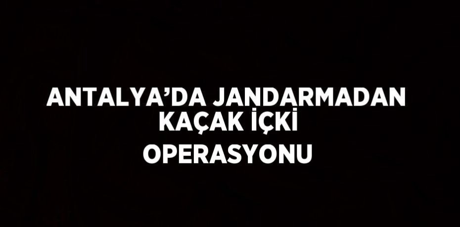 ANTALYA’DA JANDARMADAN KAÇAK İÇKİ OPERASYONU