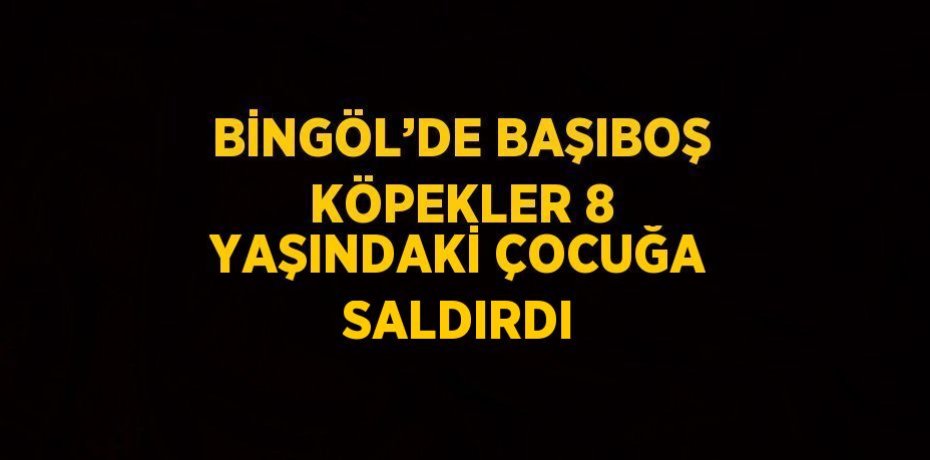 BİNGÖL’DE BAŞIBOŞ KÖPEKLER 8 YAŞINDAKİ ÇOCUĞA SALDIRDI