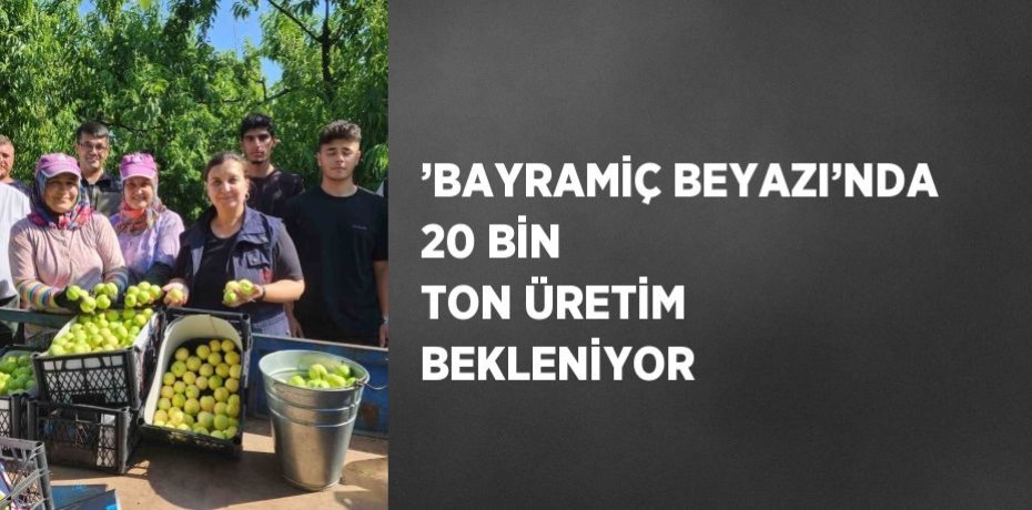 ’BAYRAMİÇ BEYAZI’NDA 20 BİN TON ÜRETİM BEKLENİYOR