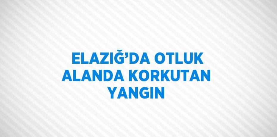 ELAZIĞ’DA OTLUK ALANDA KORKUTAN YANGIN