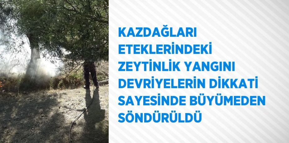 KAZDAĞLARI ETEKLERİNDEKİ ZEYTİNLİK YANGINI DEVRİYELERİN DİKKATİ SAYESİNDE BÜYÜMEDEN SÖNDÜRÜLDÜ