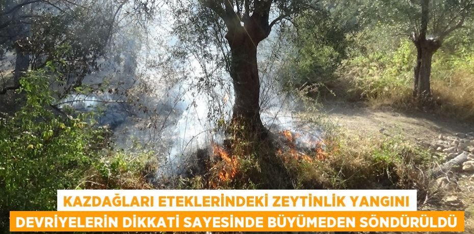Kazdağları eteklerindeki zeytinlik yangını devriyelerin dikkati sayesinde büyümeden söndürüldü