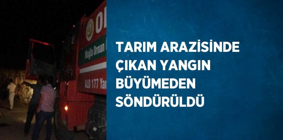 TARIM ARAZİSİNDE ÇIKAN YANGIN BÜYÜMEDEN SÖNDÜRÜLDÜ