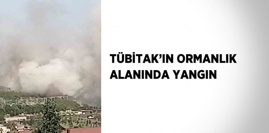 TÜBİTAK’IN ORMANLIK ALANINDA YANGIN