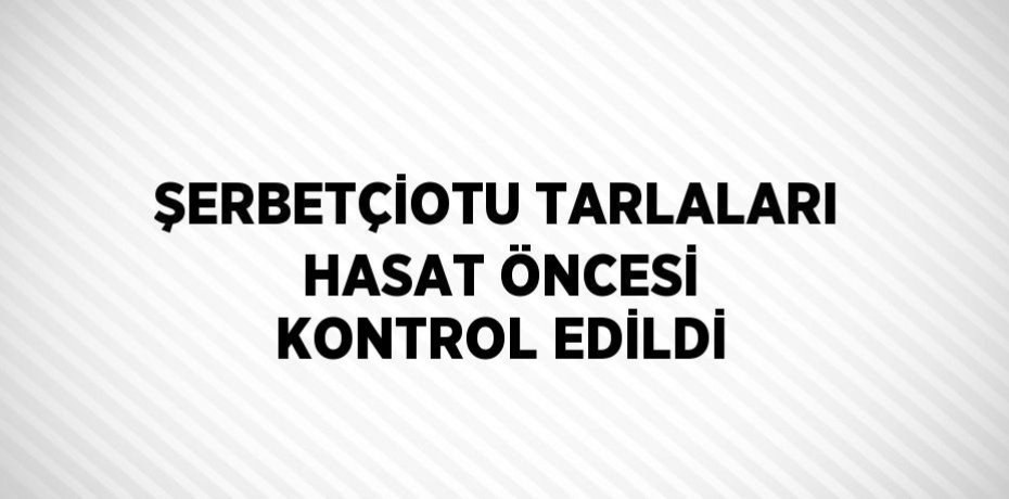 ŞERBETÇİOTU TARLALARI HASAT ÖNCESİ KONTROL EDİLDİ