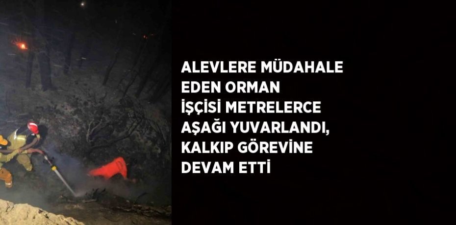 ALEVLERE MÜDAHALE EDEN ORMAN İŞÇİSİ METRELERCE AŞAĞI YUVARLANDI, KALKIP GÖREVİNE DEVAM ETTİ