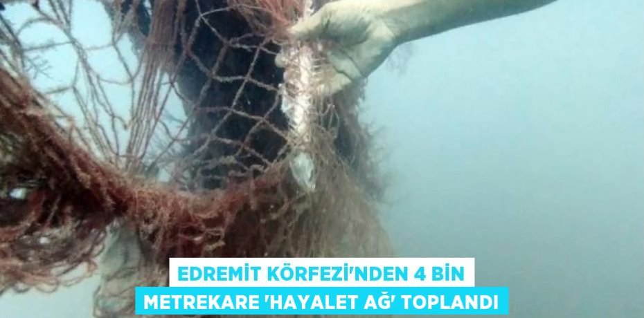 Edremit Körfezi'nden 4 bin metrekare 'hayalet ağ' toplandı