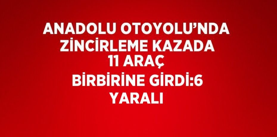 ANADOLU OTOYOLU’NDA ZİNCİRLEME KAZADA 11 ARAÇ BİRBİRİNE GİRDİ:6 YARALI