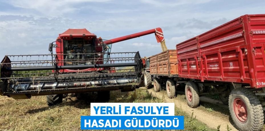 YERLİ FASULYE HASADI GÜLDÜRDÜ