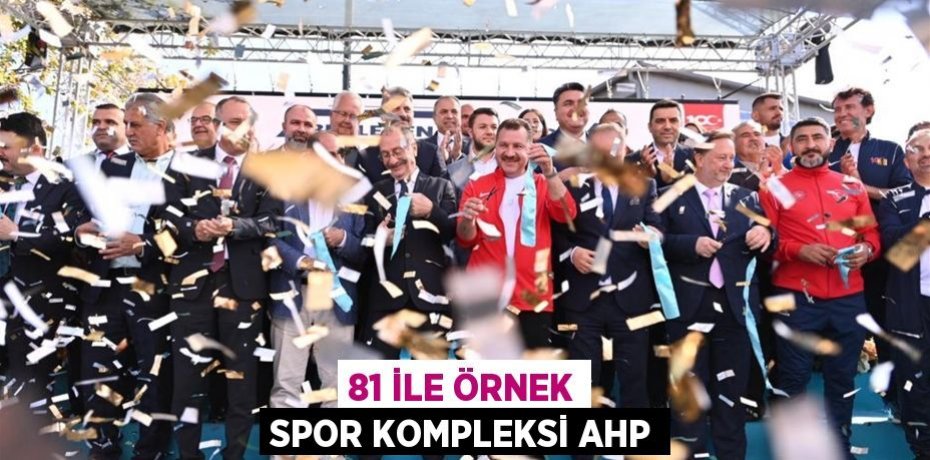 81 İLE ÖRNEK SPOR KOMPLEKSİ AHP