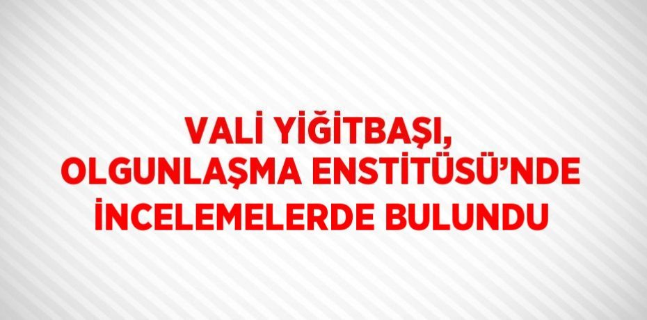 VALİ YİĞİTBAŞI, OLGUNLAŞMA ENSTİTÜSÜ’NDE İNCELEMELERDE BULUNDU