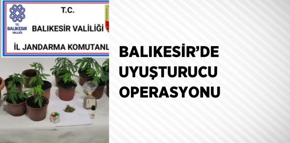 BALIKESİR’DE UYUŞTURUCU OPERASYONU